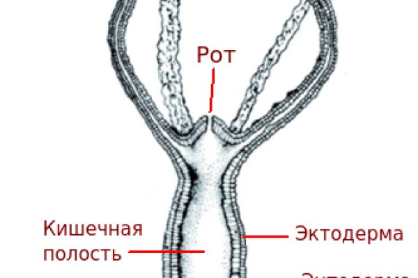 Кракен вход официальная ссылка