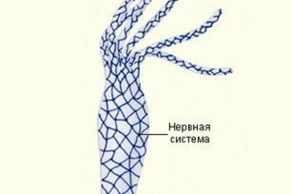 Кракен ссылка онион зеркало